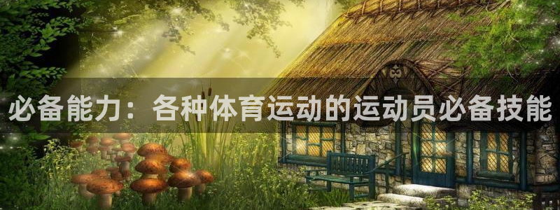 哈哈体育下载