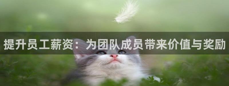 哈哈体育