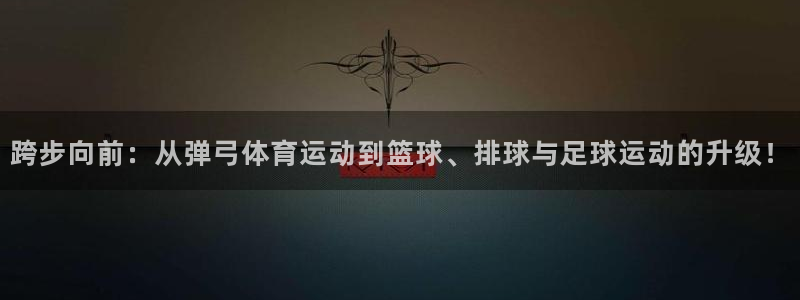 哈哈体育十年