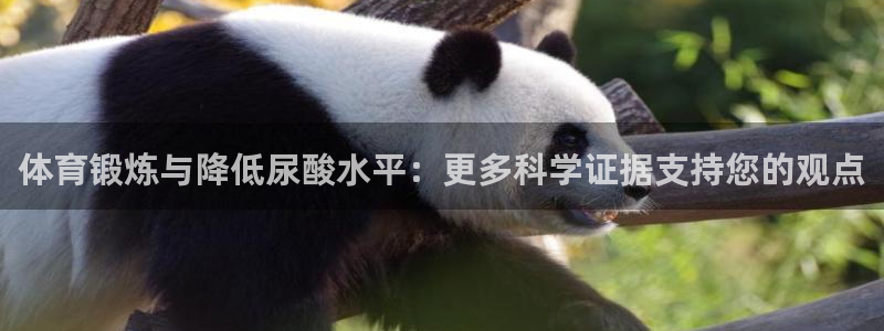 哈哈体育十年