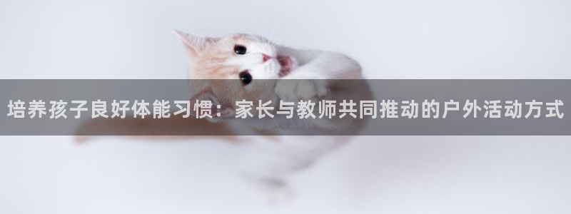 哈哈体育下载：培养孩子良好体能习惯：家长与教师共同推动的户外活动方式
