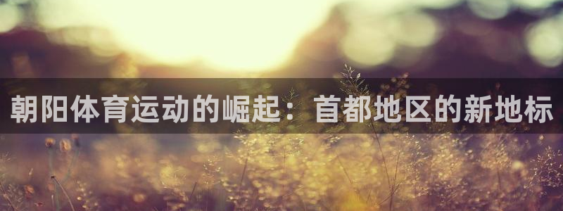 哈哈体育十年