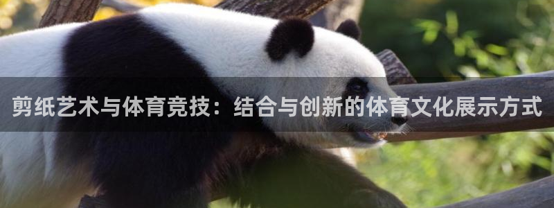 哈哈体育