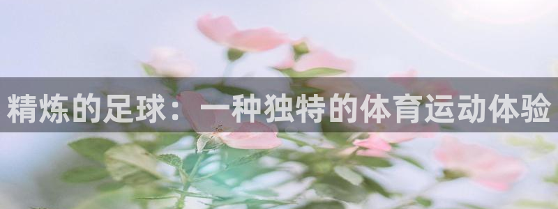 哈哈体育十年：精炼的足球：一种独特的体育运动体验