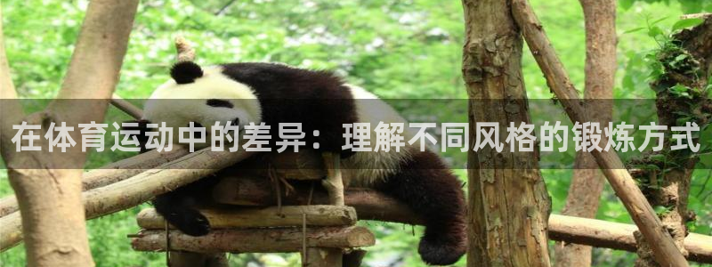 哈哈体育十年：在体育运动中的差异：理解不同风格的锻炼方式