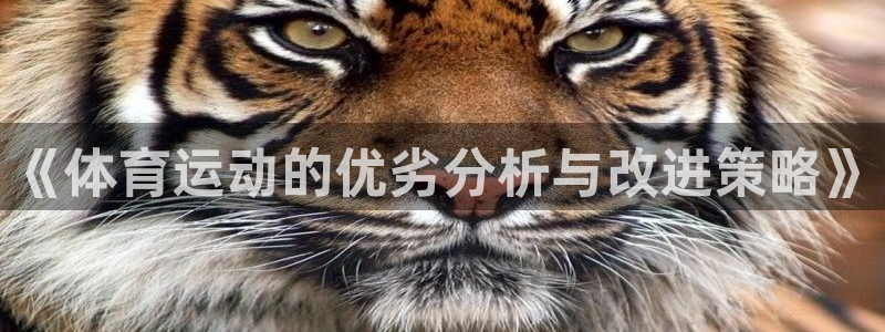 哈哈体育下载