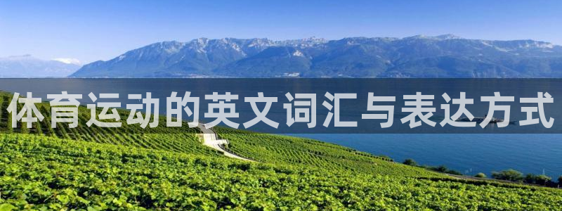 哈哈体育