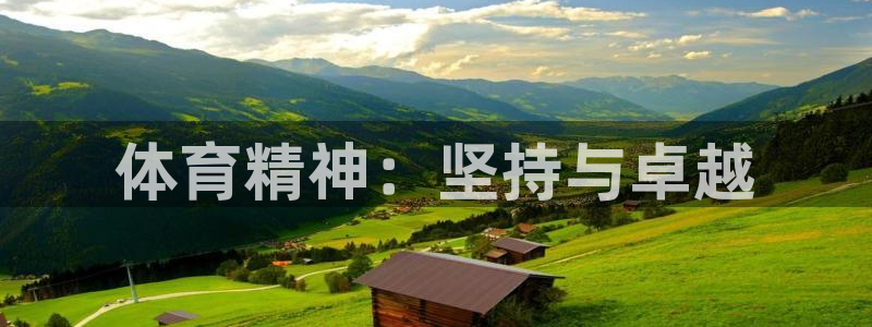 哈哈体育十年