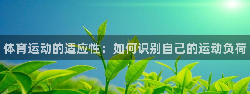 哈哈体育