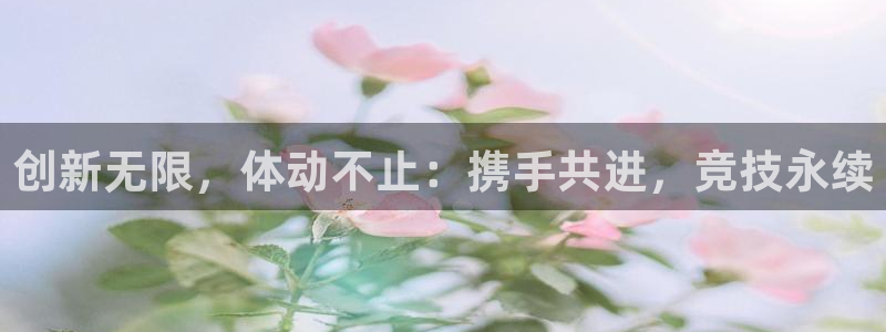 哈哈体育十年：创新无限，体动不止：携手共进，竞技永续