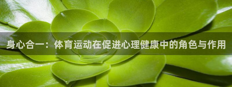 哈哈体育：身心合一：体育运动在促进心理健康中的角色与作用