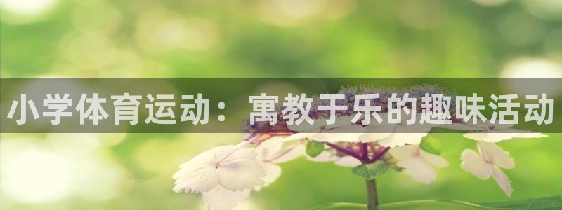 哈哈体育下载