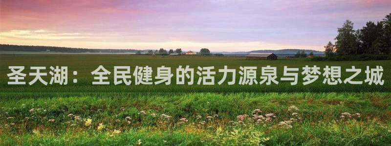 哈哈体育十年