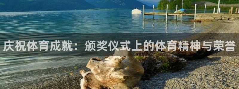 哈哈体育十年：庆祝体育成就：颁奖仪式上的体育精神与荣誉