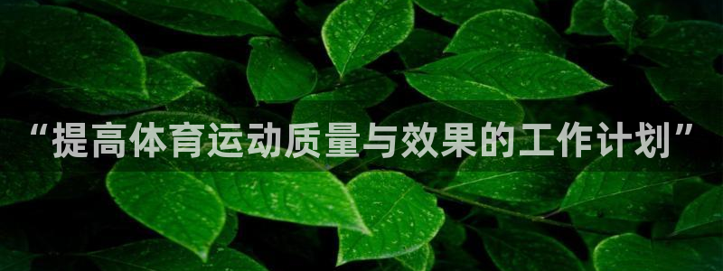 哈哈体育：“提高体育运动质量与效果的工作计划”